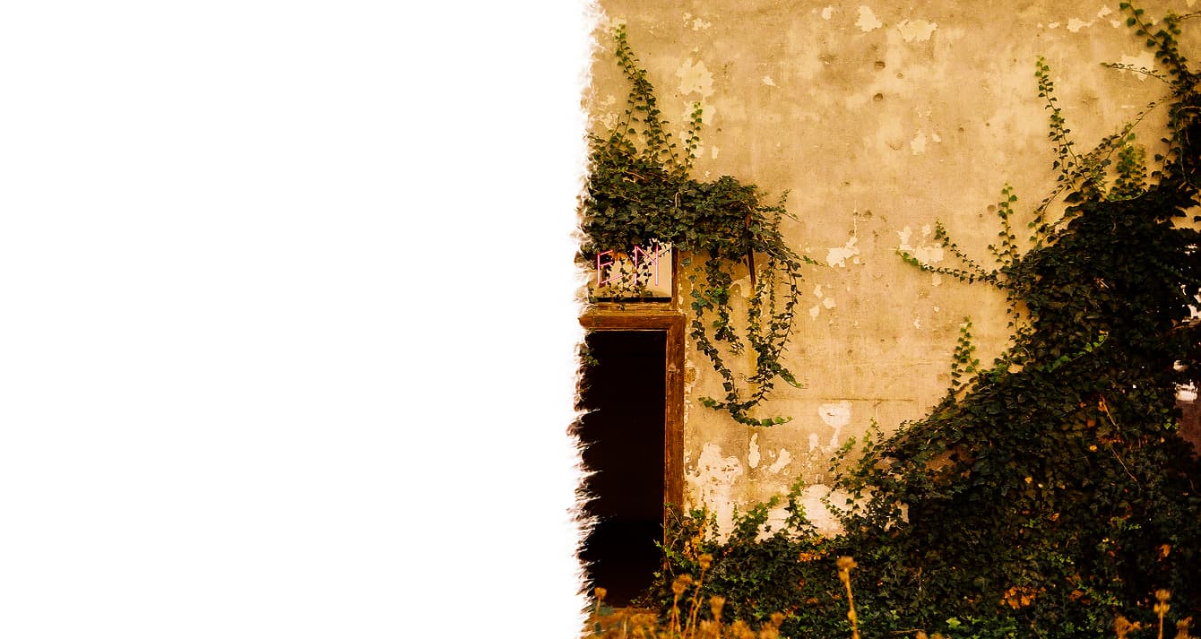 Hlavní fotka na pozadí